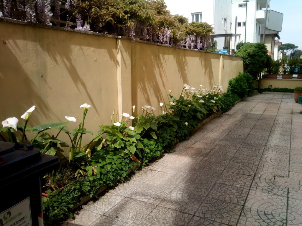 Hotel Margot ลิโด ดิ กามาโยเร ภายนอก รูปภาพ